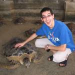 Highlight for Album: Turtle Island, Bali