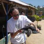The turtle trying to flap away