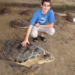 These turtles were humungous!!