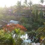View from our balcony looking outwards across the complex