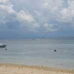 Small groups roamed the seas.