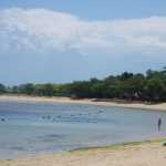 The curve of the right side of the bay