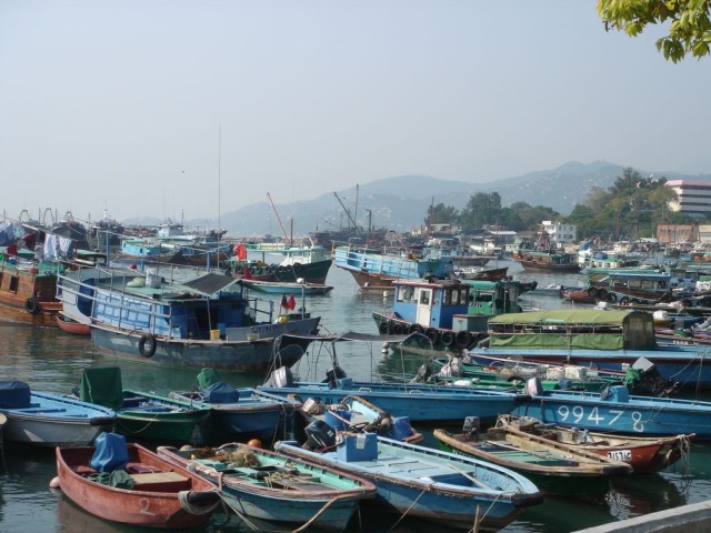 DSC02143.JPG