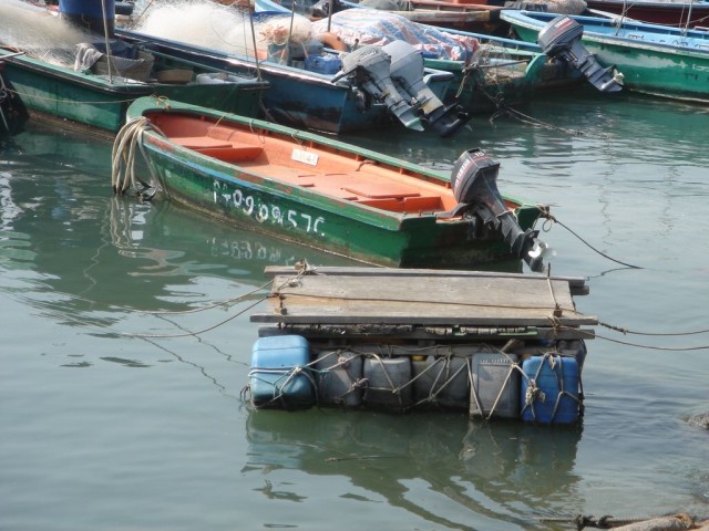 DSC02147.JPG