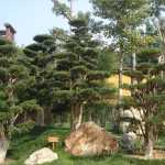 View walking up along the entrance path of the Gardens