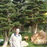 Immaculate trees were present throughout the park