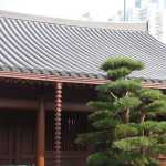 Another photo of one of the buildings