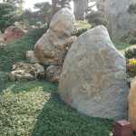 The stones were also well-postioned and suited in their environment!
