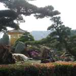 It was so tranquil, hard to believe where you were in the midst of one of Kowloon's busy residential areas!