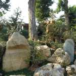 More amazing stones and trees!