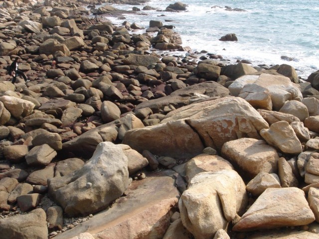 DSC02091.JPG