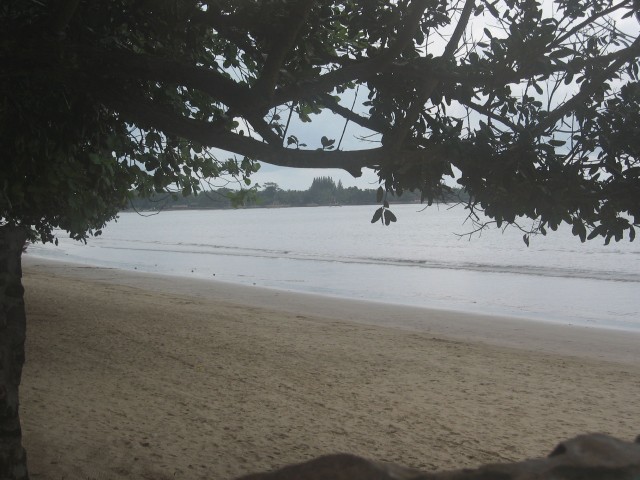 Along the sandy beach