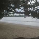 Along the sandy beach
