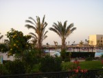 Another photography in the evening sun.