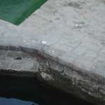 DSC04231.JPG