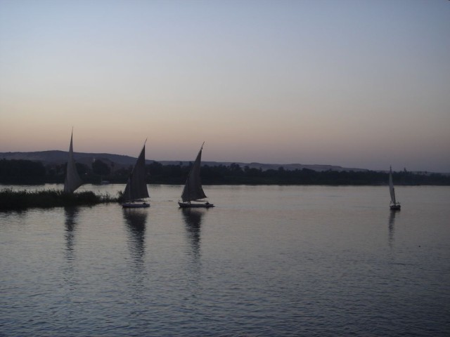 DSC04246.JPG