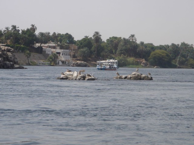 DSC05229.JPG