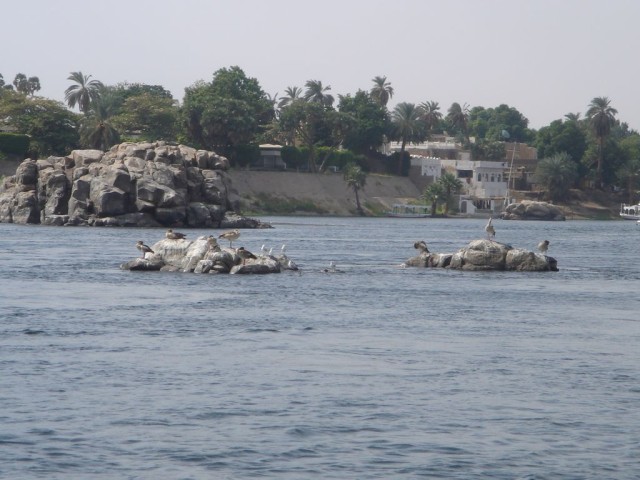 DSC05230.JPG