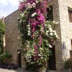 DSC05237.JPG