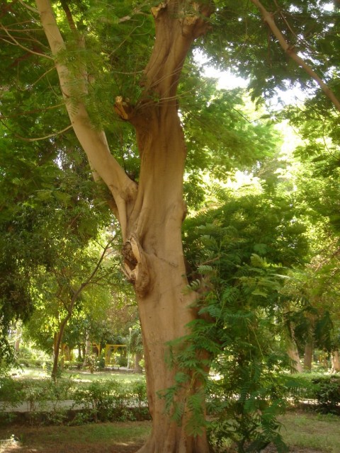 DSC05239.JPG