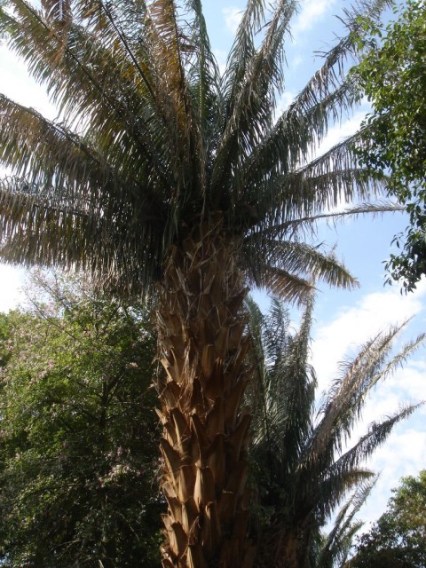 DSC05240.JPG