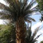 DSC05240.JPG