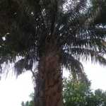 DSC05247.JPG