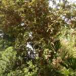 DSC05256.JPG