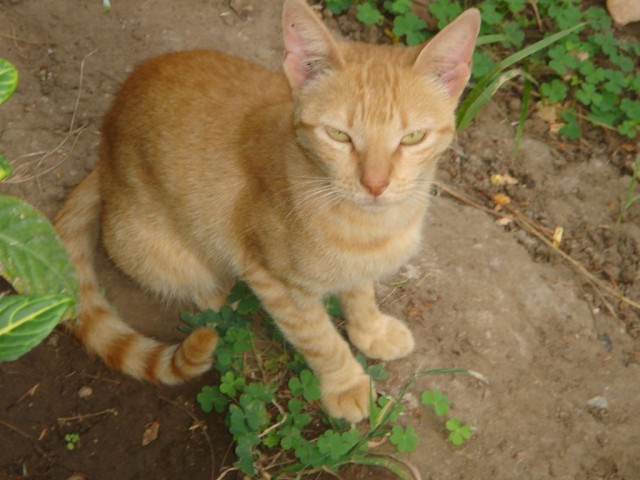 DSC05262.JPG