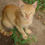 DSC05262.JPG
