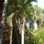 DSC05264.JPG