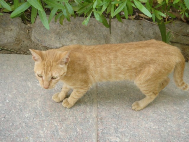 DSC05267.JPG