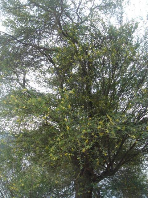 DSC05283.JPG