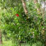 DSC05287.JPG