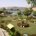 Highlight for Album: Aswan - Botanical Gardens on Kitchener Island - Day 12