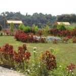 DSC05306.JPG