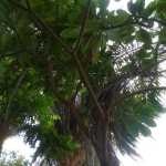 DSC05315.JPG