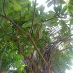 DSC05316.JPG