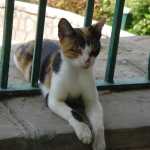 DSC05319.JPG