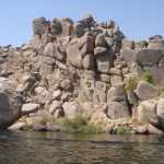 DSC04306.jpg