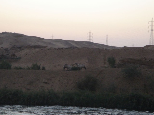 DSC04411.JPG