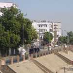 DSC04419.JPG