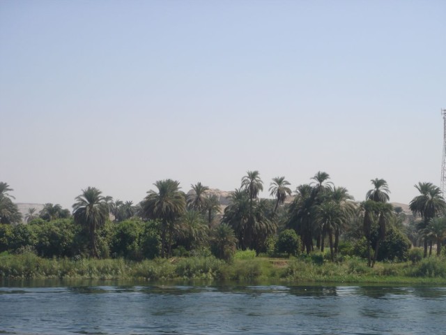 DSC04440.JPG