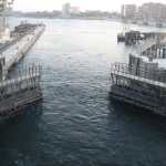 DSC04483.JPG