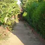 DSC04400.JPG