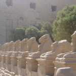 DSC04781.JPG