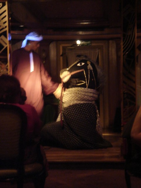 DSC05117.JPG