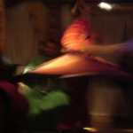 DSC05144.JPG