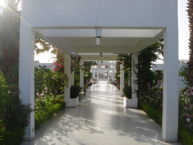 DSC05905.JPG