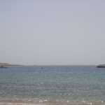 DSC05910.JPG